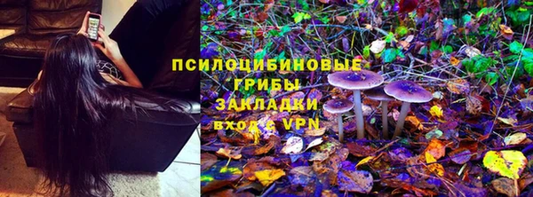каннабис Арсеньев