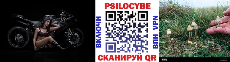 Псилоцибиновые грибы ЛСД Новая Ляля