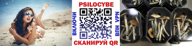 дарнет шоп  Новая Ляля  Псилоцибиновые грибы мухоморы 